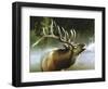 Elk in Mist-Spencer Williams-Framed Premium Giclee Print