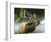 Elk in Mist-Spencer Williams-Framed Premium Giclee Print