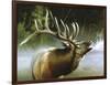 Elk in Mist-Spencer Williams-Framed Giclee Print