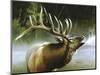 Elk in Mist-Spencer Williams-Mounted Giclee Print