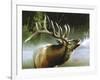 Elk in Mist-Spencer Williams-Framed Giclee Print