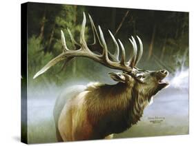 Elk in Mist-Spencer Williams-Stretched Canvas