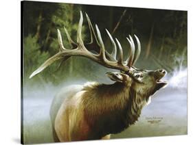 Elk in Mist-Spencer Williams-Stretched Canvas