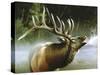 Elk in Mist-Spencer Williams-Stretched Canvas