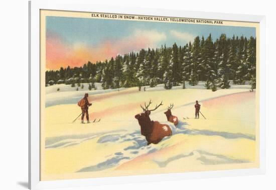 Elk in Snow, Yellowstone Park, Montana-null-Framed Art Print