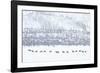 Elk in Snowstorm-Howard Ruby-Framed Photographic Print