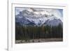 Elk in the Canadian Rockies, Banff National Park, UNESCO World Heritage Site, Canadian Rockies, Alb-JIA JIAHE-Framed Photographic Print