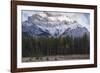 Elk in the Canadian Rockies, Banff National Park, UNESCO World Heritage Site, Canadian Rockies, Alb-JIA JIAHE-Framed Photographic Print