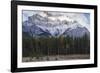 Elk in the Canadian Rockies, Banff National Park, UNESCO World Heritage Site, Canadian Rockies, Alb-JIA JIAHE-Framed Photographic Print