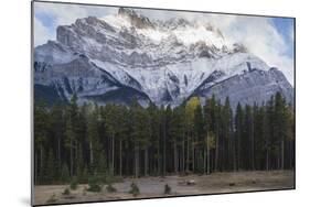 Elk in the Canadian Rockies, Banff National Park, UNESCO World Heritage Site, Canadian Rockies, Alb-JIA JIAHE-Mounted Photographic Print