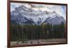 Elk in the Canadian Rockies, Banff National Park, UNESCO World Heritage Site, Canadian Rockies, Alb-JIA JIAHE-Framed Photographic Print