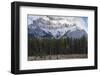 Elk in the Canadian Rockies, Banff National Park, UNESCO World Heritage Site, Canadian Rockies, Alb-JIA JIAHE-Framed Photographic Print