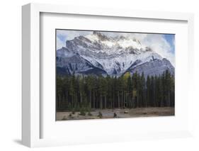 Elk in the Canadian Rockies, Banff National Park, UNESCO World Heritage Site, Canadian Rockies, Alb-JIA JIAHE-Framed Photographic Print