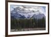 Elk in the Canadian Rockies, Banff National Park, UNESCO World Heritage Site, Canadian Rockies, Alb-JIA JIAHE-Framed Photographic Print