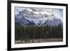 Elk in the Canadian Rockies, Banff National Park, UNESCO World Heritage Site, Canadian Rockies, Alb-JIA JIAHE-Framed Photographic Print