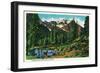 Elk in the High Olympics - Olympic National Park-Lantern Press-Framed Art Print