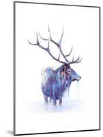 Elk in Water-Michelle Faber-Mounted Giclee Print