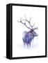 Elk in Water-Michelle Faber-Framed Stretched Canvas