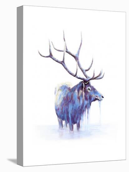 Elk in Water-Michelle Faber-Stretched Canvas