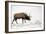 Elk IV-Tammy Putman-Framed Photographic Print