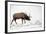 Elk IV-Tammy Putman-Framed Photographic Print