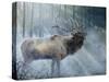 Elk Journey III-B. Lynnsy-Stretched Canvas