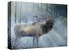 Elk Journey III-B. Lynnsy-Stretched Canvas