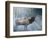 Elk Journey III-B. Lynnsy-Framed Art Print