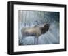 Elk Journey III-B. Lynnsy-Framed Art Print