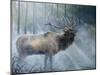 Elk Journey III-B. Lynnsy-Mounted Art Print