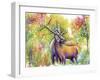 Elk Love-Michelle Faber-Framed Giclee Print