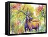 Elk Love-Michelle Faber-Framed Stretched Canvas