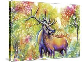 Elk Love-Michelle Faber-Stretched Canvas