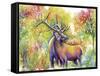 Elk Love-Michelle Faber-Framed Stretched Canvas