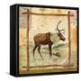 Elk Nature-Walter Robertson-Framed Stretched Canvas