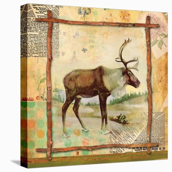 Elk Nature-Walter Robertson-Stretched Canvas