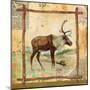 Elk Nature-Walter Robertson-Mounted Art Print