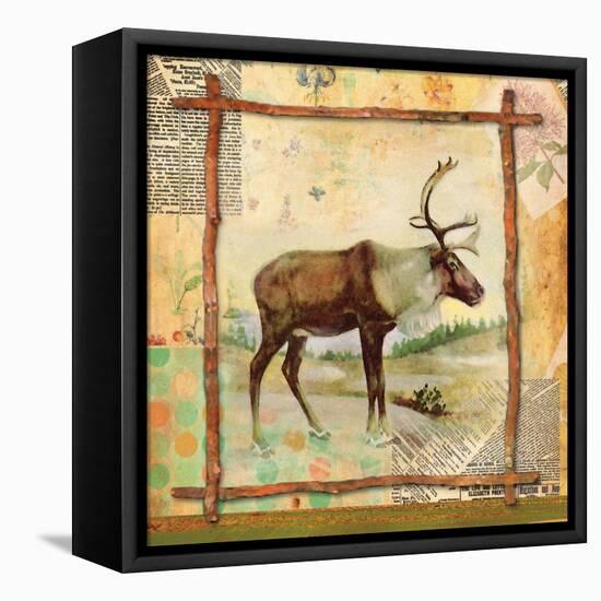 Elk Nature-Walter Robertson-Framed Stretched Canvas