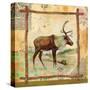 Elk Nature-Walter Robertson-Stretched Canvas