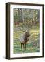 Elk of the Great Smoky Mountains-Gary Carter-Framed Photographic Print