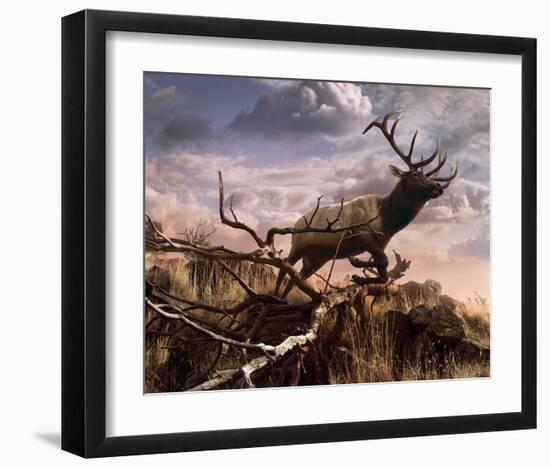 Elk Passage-Steve Hunziker-Framed Art Print