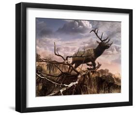 Elk Passage-Steve Hunziker-Framed Art Print