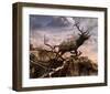 Elk Passage-Steve Hunziker-Framed Art Print