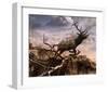 Elk Passage-Steve Hunziker-Framed Art Print