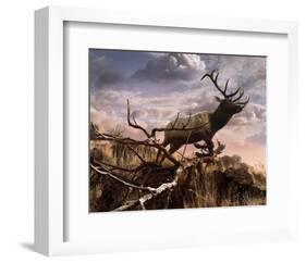 Elk Passage-Steve Hunziker-Framed Art Print