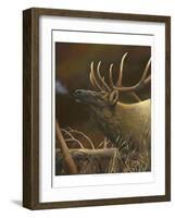 Elk Portrait I-Leo Stans-Framed Art Print