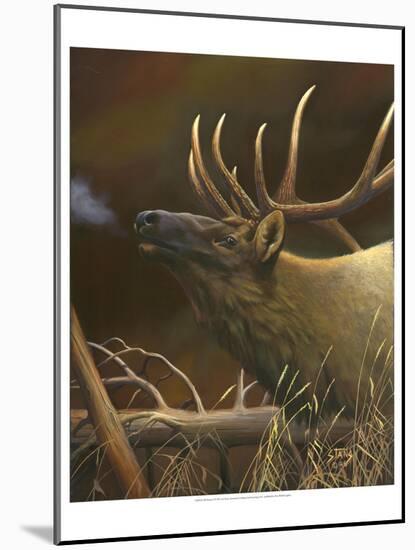 Elk Portrait I-Leo Stans-Mounted Art Print
