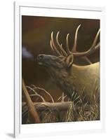 Elk Portrait I-Leo Stans-Framed Art Print