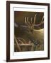 Elk Portrait I-Leo Stans-Framed Art Print
