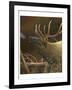 Elk Portrait I-Leo Stans-Framed Art Print